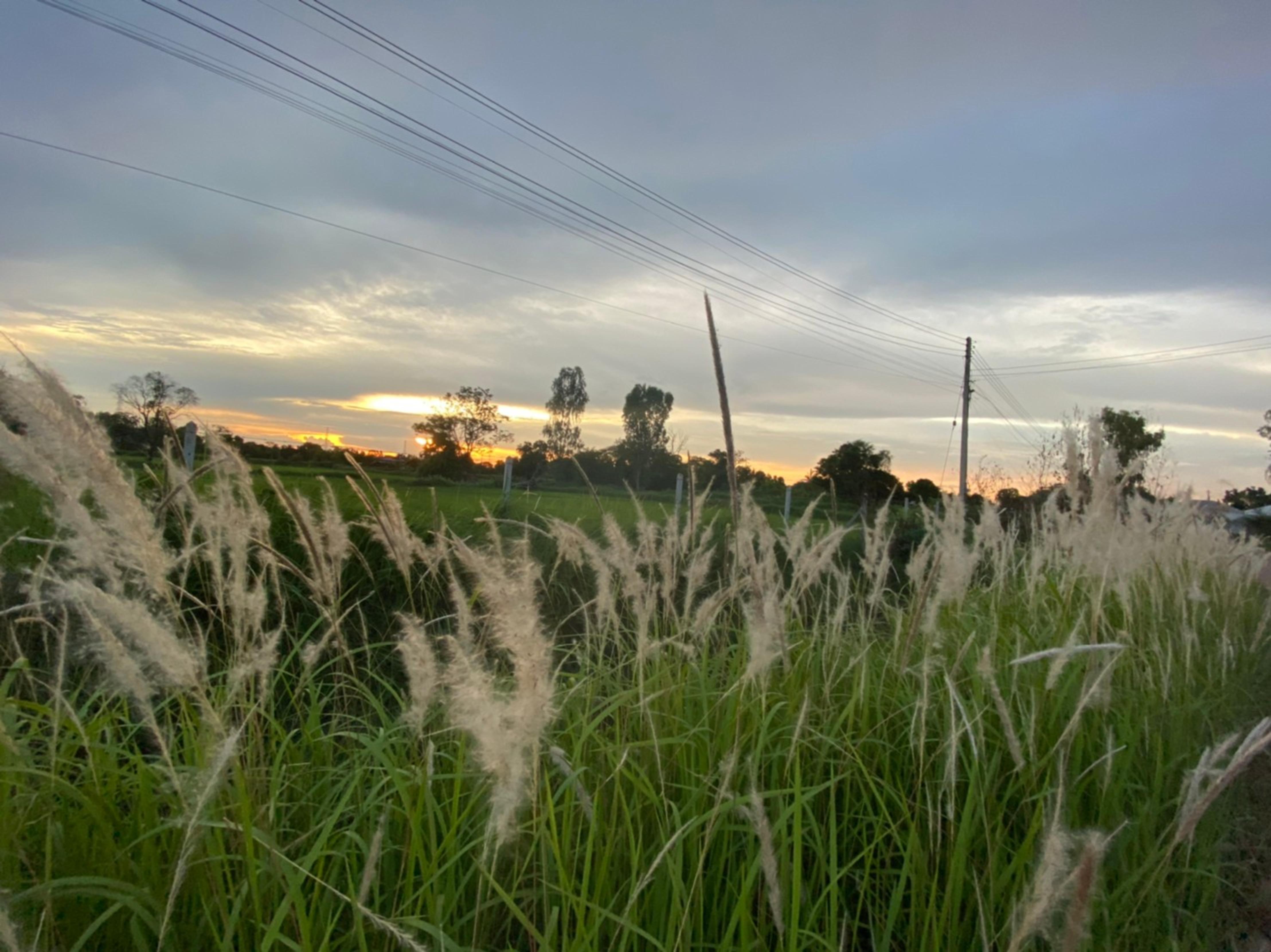 Mayuree Resort Udon Thani Exterior photo